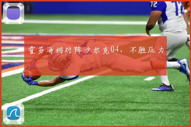 霍芬海姆对阵沙尔克04，不胜压力