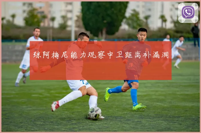 琼阿梅尼能力观察中卫距离补漏洞