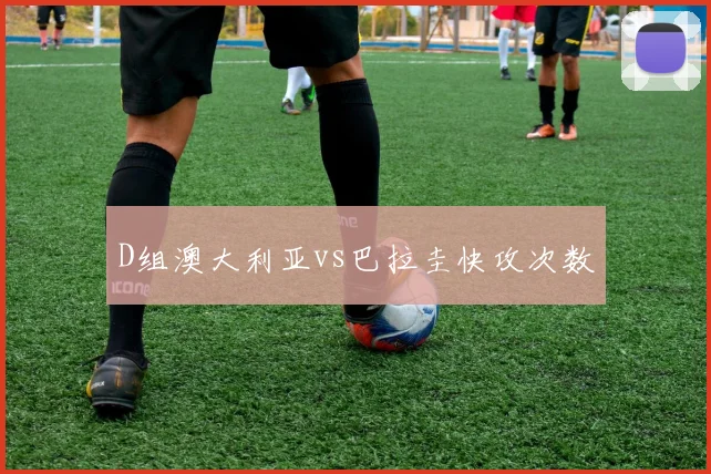D组澳大利亚vs巴拉圭快攻次数