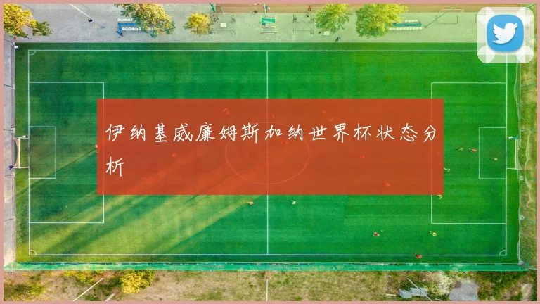 伊纳基威廉姆斯加纳世界杯状态分析